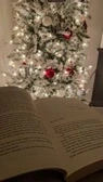 Holiday reader