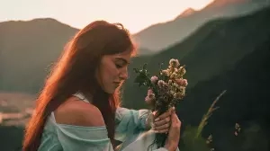 Daisy Dreams