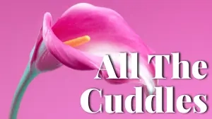 All The Cuddles