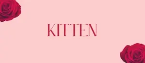 Kitten