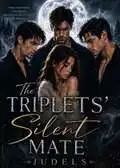The Triplets' Silent Mate