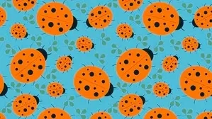 Ladybirds