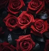 Specialsđź–¤