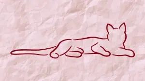 Little Cat