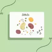 Seeds