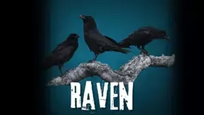 Raven Tier 3