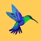 Tier 2: Early Bird 