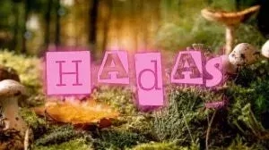 Hadas