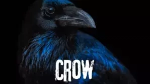 Crow Tier 1 
