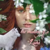 The making of a Luna