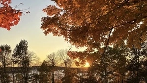Fall bliss