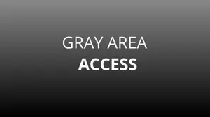 Gray Area