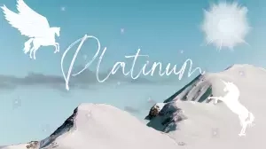 Platinum Level Supporter