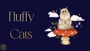 Fluffy Cats