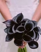 Blackheart Subscribers