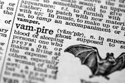 Vampir | Stufe 3