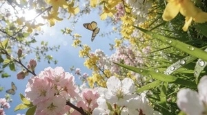 Spring bliss
