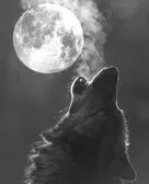 Crimson Moon
