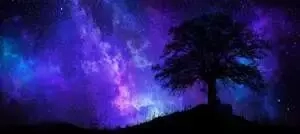 Star Seeker