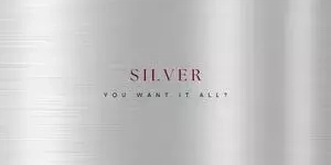 Silver Tier