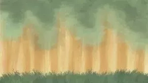 Forest Tier