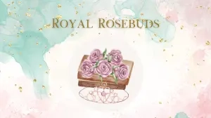 Royal Rosebuds