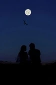 Dusklight
