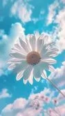 Daisies ($4)