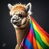 Nivel Alpaca