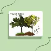 Young Trees