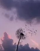 Feel Most