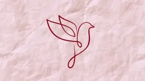 Little Bird 