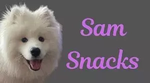 Sam Snacks