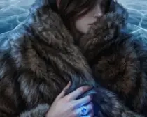 Ward of the North