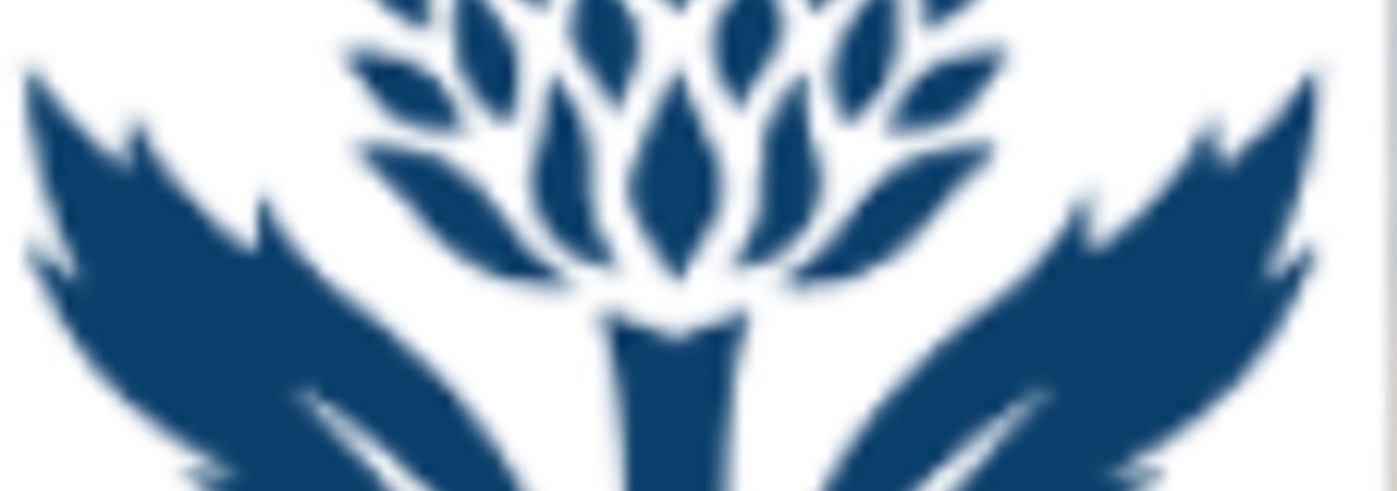 Inkitt banner for @britannica