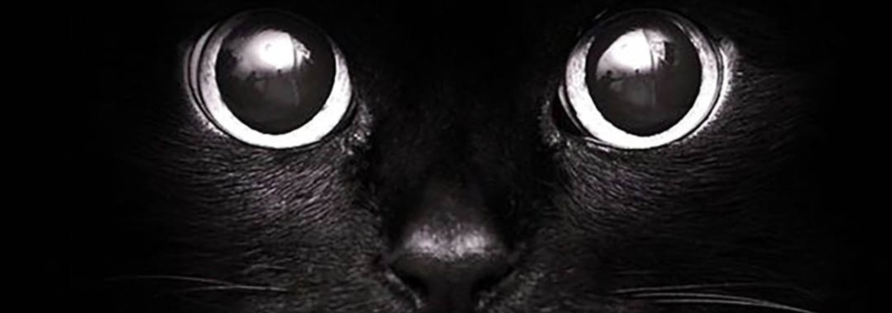 Inkitt banner for @Mods
