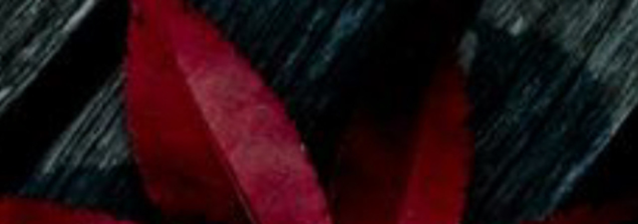 Inkitt banner for @Anxiety