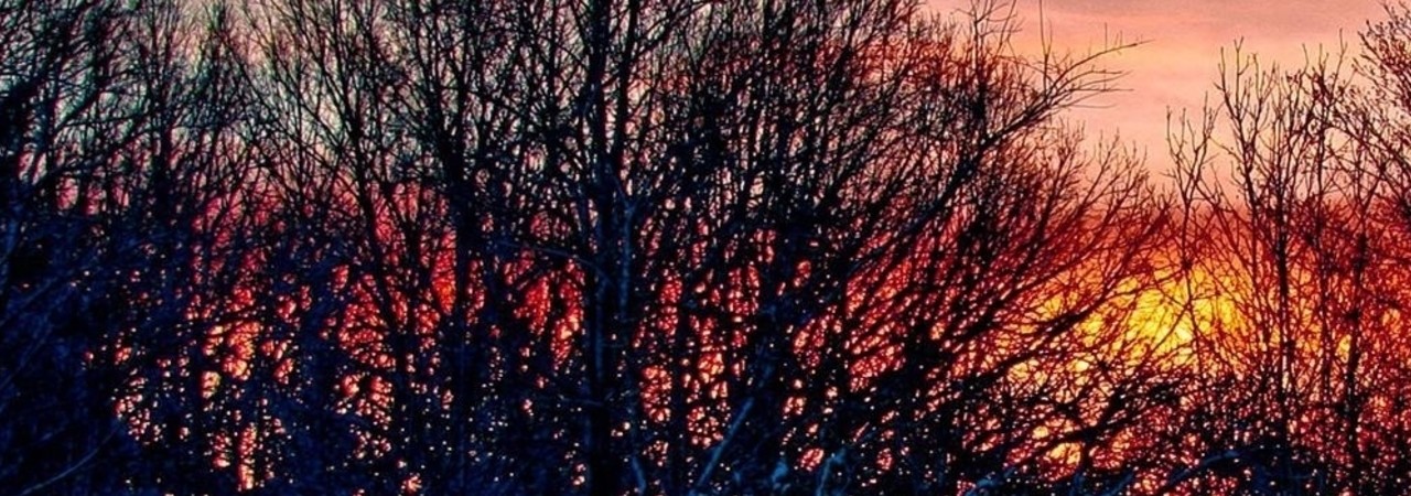 Inkitt banner for @Hybrid