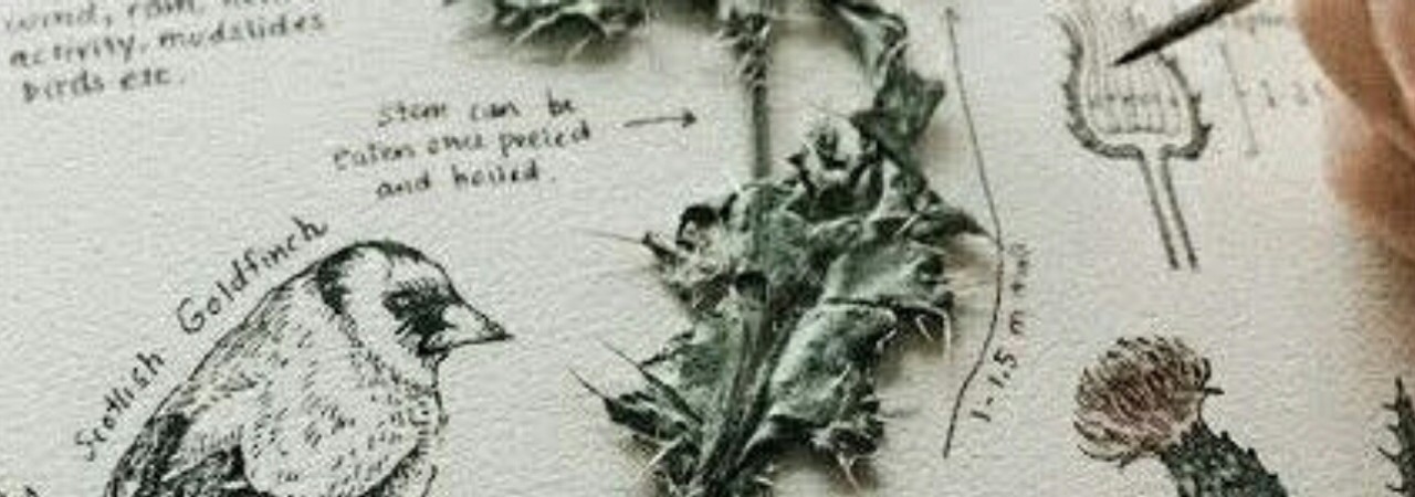 Inkitt banner for @mesmerizing