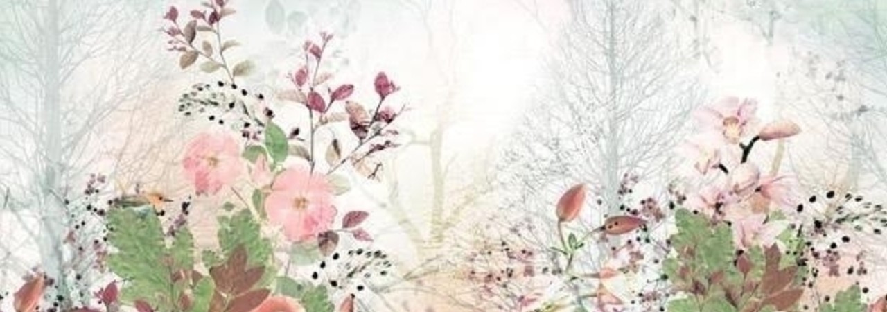 Inkitt banner for @seaweed