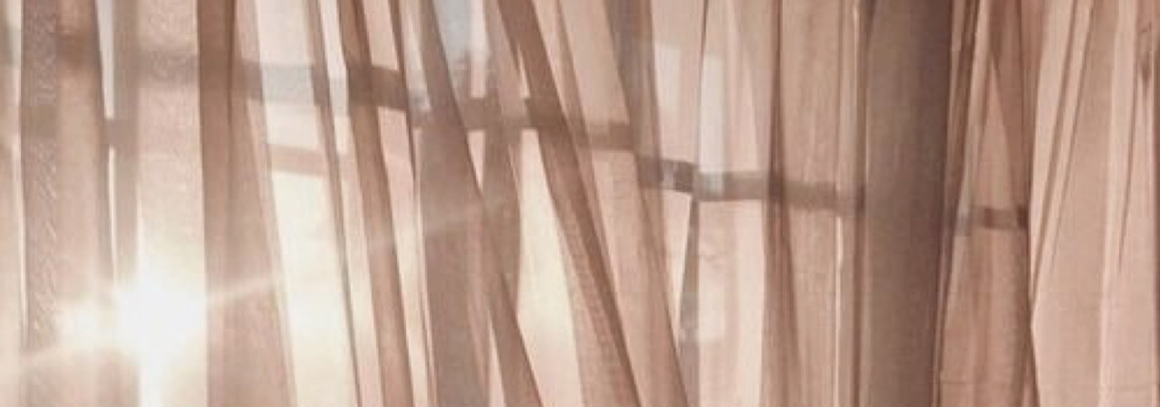 Inkitt banner for @Xena