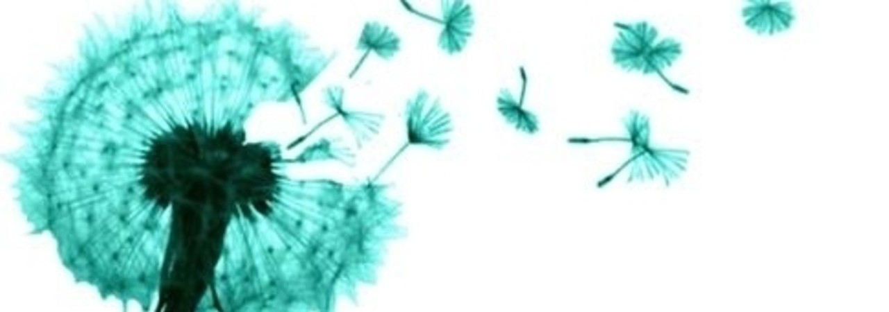 Inkitt banner for @bookshelf