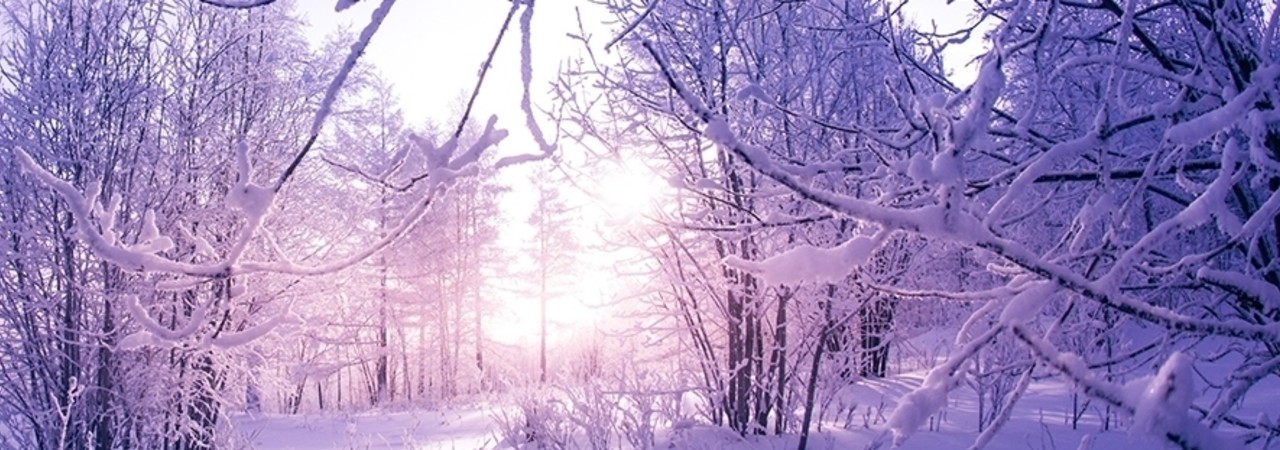 Inkitt banner for @Kuu