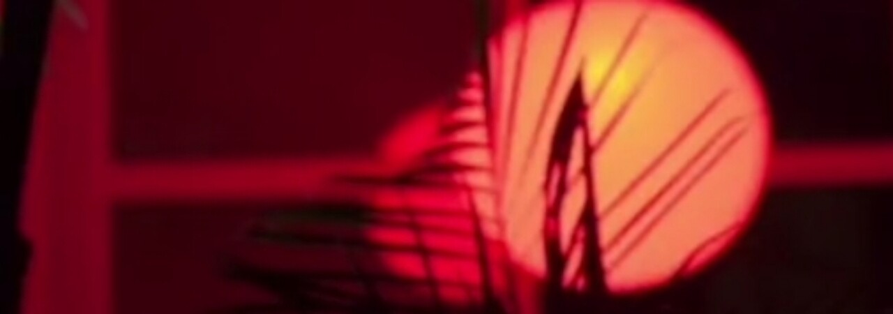 Inkitt banner for @fleeing