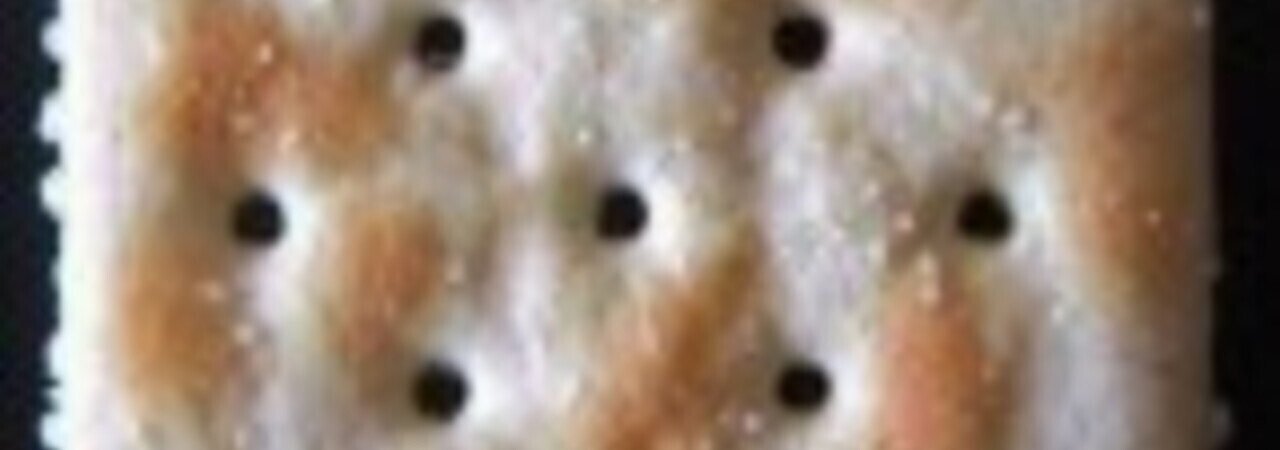 Inkitt banner for @tuck