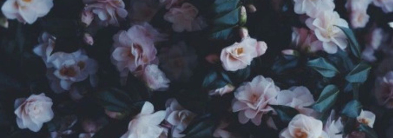 Inkitt banner for @Correspondence