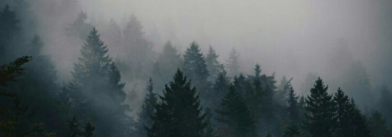Inkitt banner for @Thai