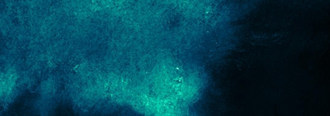 Inkitt banner for @wanted