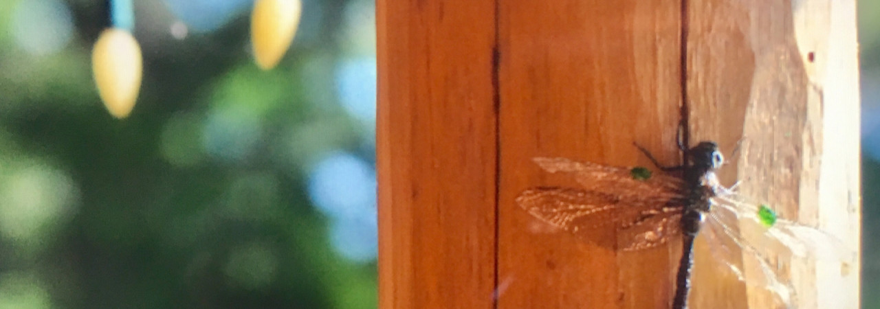 Inkitt banner for @Graph