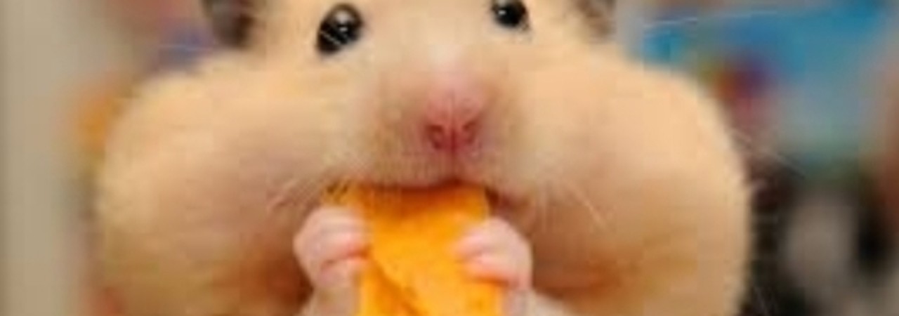 Inkitt banner for @hamster